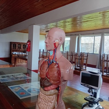 Colegios en Rancagua destacados en investigación