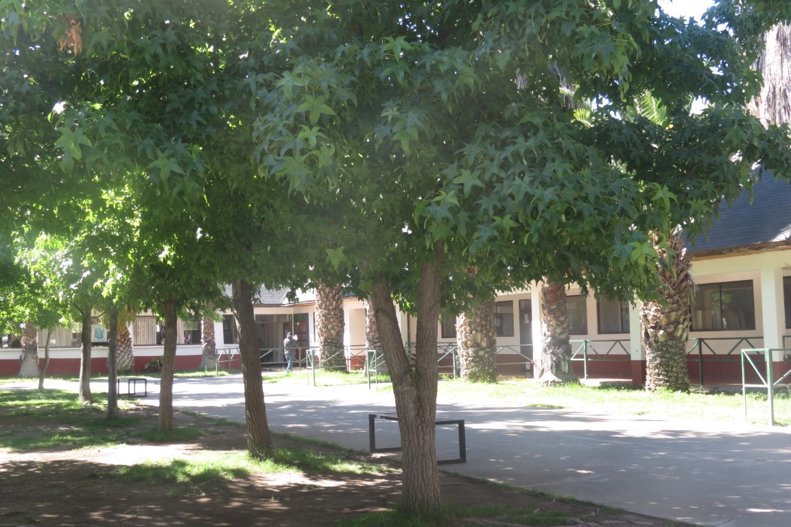 Areas Comunes 7