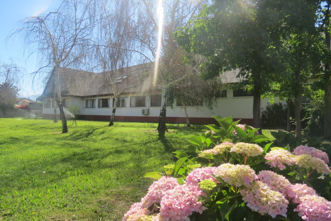 Áreas Verdes 1