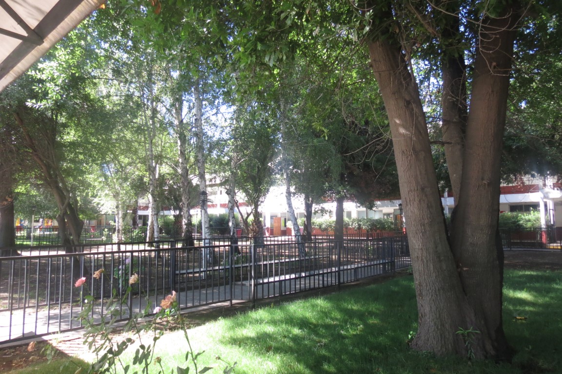 Áreas Verdes 3