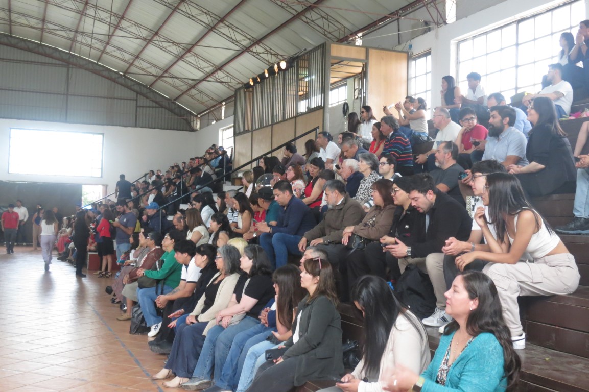 Gimnasio 3